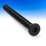 Replacement T25 Wood Screw by Fortress - Gloss Black