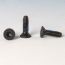 T25 Thread Cutting Replacement Screw by Fortress - Black Sand
