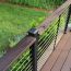 Customer David F.  used Skyline Cable Railing with a drink rail.