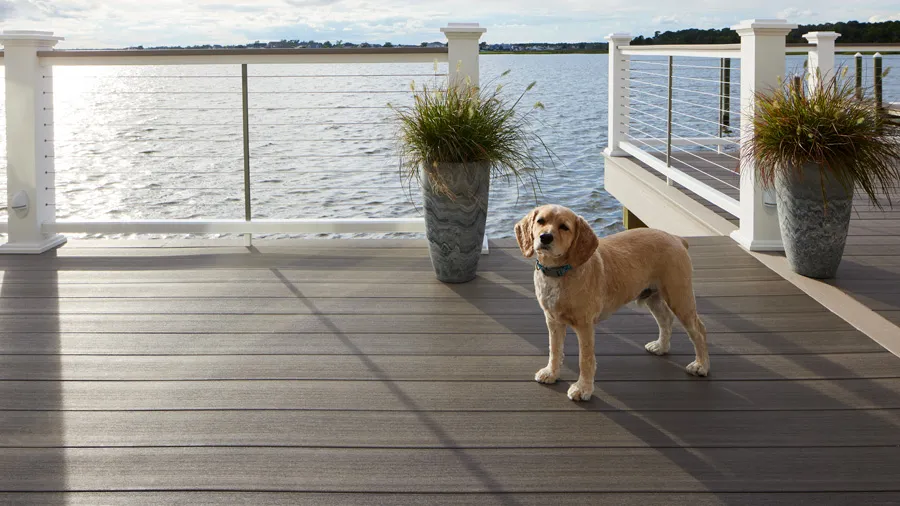 A cute, small dog enjoys a light gray deck with cable railing and a gorgeous view of the ocean