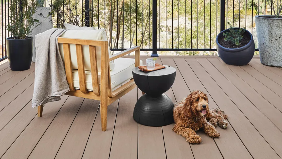 A dog lounges comfortably on a TimberTech PVC deck
