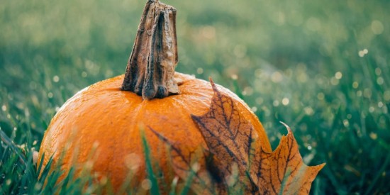 Find out about the top 7 outdoor Halloween decoration ideas for 2020